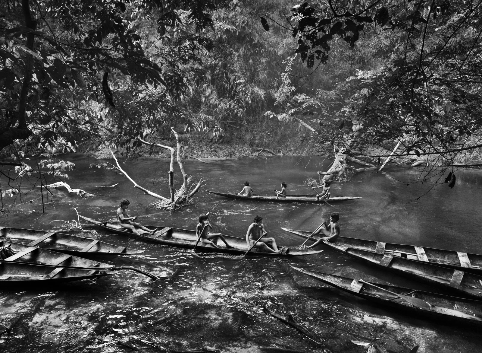 Sebastião Salgado, Fishing with Timbó, in the Jukihi Stream, Suruwahá Indigenous Territory, State of Amazonas, Brazil (S) Sebastião Salgado, Fishing with Timbó, in the Jukihi Stream, Suruwahá Indigenous Territory, State of Amazonas, Brazil (S)