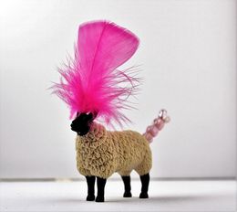 Photography, Le mouton plume, Bruno Lecoq