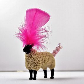 Fotografien, Le mouton plume, Bruno Lecoq