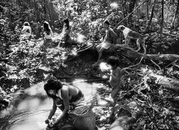 Fotografien, Near the Marubo Village of Maronal, Valley of Javari Indigenous Territory, State of Amazonas, Brazil (L), Sebastião Salgado