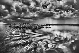 Fotografien, River Landscape, Estuary of the Jaú River, Jaú National Park, State of Amazonas, Brazil (M), Sebastião Salgado