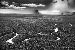 Photography, The Municipality of São Gabriel da Cachoeira, Cauaburi River, Yanomami Indigenous Territory, State of Amazonas, Brazil (S), Sebastião Salgado