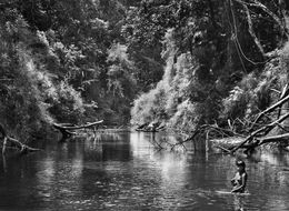 Fotografien, Young Hatiri bathes in a backwater of the Pretão stream, which the indigenous people call Jukihi. Suruwahá Indigenous Territory, State of Amazonas, Brazil (XL), Sebastião Salgado