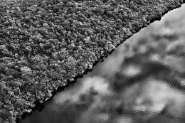 Photography, State of Amazonas, Brazil (L), Sebastião Salgado