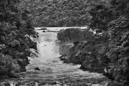 Photography, Waterfall on the Erepecuru River. Zo’é Indigenous Territory, State of Pará, Brazil (S), Sebastião Salgado