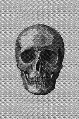 Print, Vanité n°1, Nicolas Cessieux