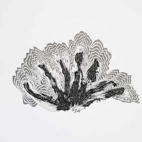 Fine Art Drawings, Native Elements n°9, Imhathai Suwatthanasilp