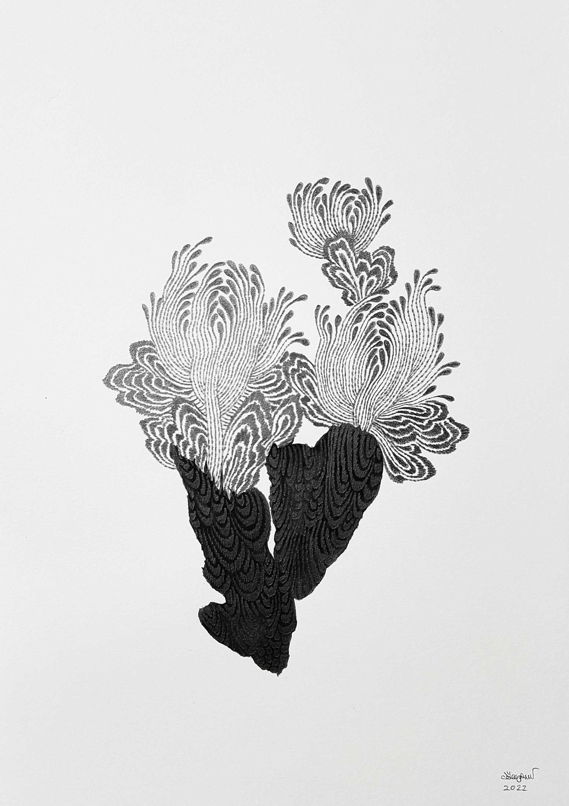 Imhathai Suwatthanasilp, Native Elements n°28 Imhathai Suwatthanasilp, Native Elements n°28