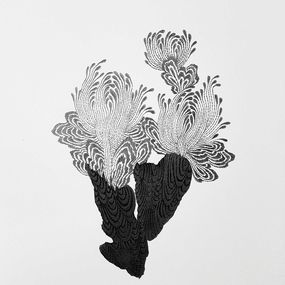 Fine Art Drawings, Native Elements n°28, Imhathai Suwatthanasilp