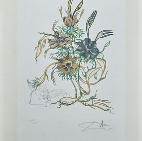 Drucke, Anemone, Salvador Dali