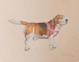 Painting, Beagle, Pablo Viracocha