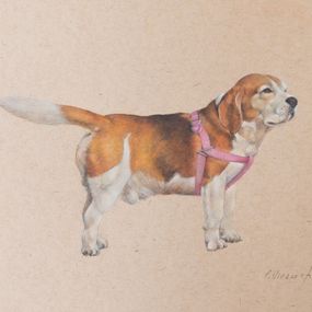 Gemälde, Beagle, Pablo Viracocha