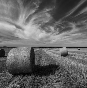 Photography, Moissons de nuées, Philippe Guenin