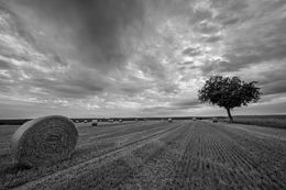 Photographie, Perspective rurale, Philippe Guenin