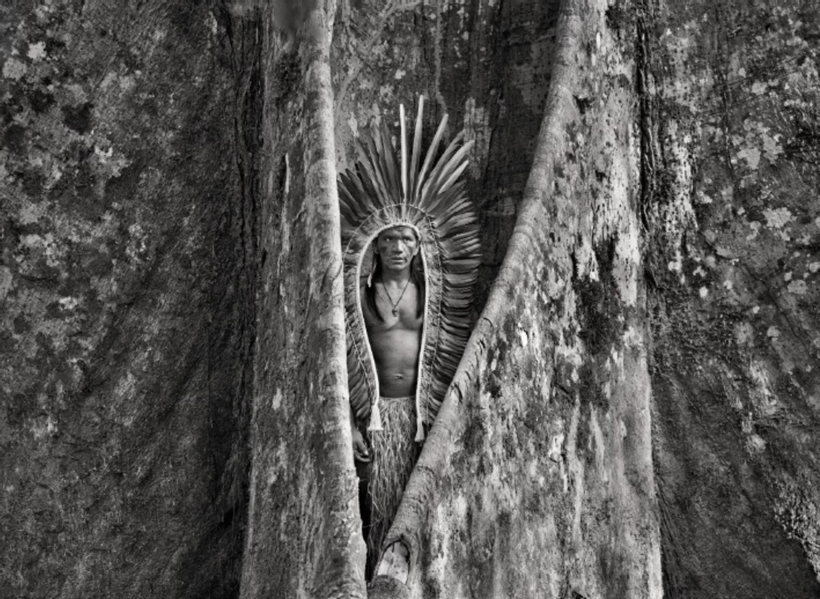 Sebastião Salgado, Keiá Yawanawa, a young Yawanawá shaman (M) Sebastião Salgado, Keiá Yawanawa, a young Yawanawá shaman (M)