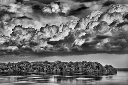 Fotografien, State of Amazonas, Brazil (XL), Sebastião Salgado