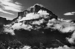 Fotografien, The blackwater of the Rio Negro glints white in sunlight and turns pitch black when not in direct sun. Anavilhanas National Park, State of Amazonas, Brazil (M), Sebastião Salgado