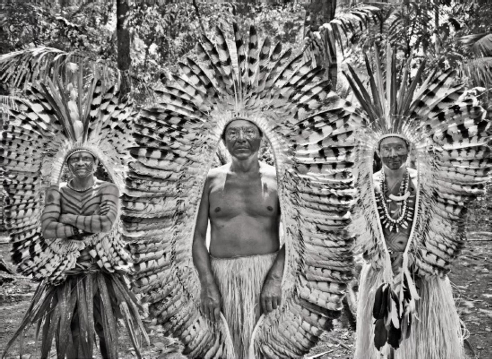 Sebastião Salgado, Biraci Brasil (Nishiwaká), leader of the Yawanawá of the Upper Rio Gregório (M) Sebastião Salgado, Biraci Brasil (Nishiwaká), leader of the Yawanawá of the Upper Rio Gregório (M)