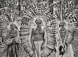 Fotografien, Biraci Brasil (Nishiwaká), leader of the Yawanawá of the Upper Rio Gregório (XL), Sebastião Salgado