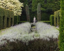 Photography, Giardino, Robert Jackson, Oxford, Massimo Listri