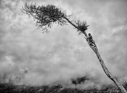 Fotografien, West Papua, Indonesia (M), Sebastião Salgado