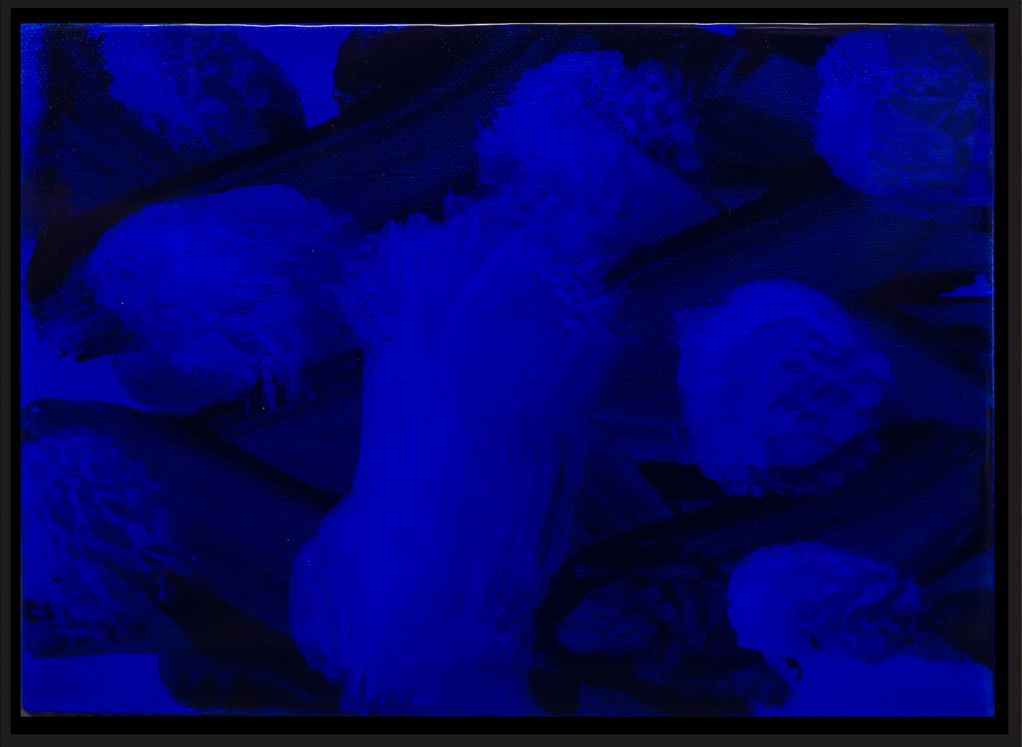 Kitikong Tilokwattanotai, Blue Planets Kitikong Tilokwattanotai, Blue Planets