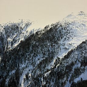 Gemälde, Cobalt on white, Ramón Surinyac