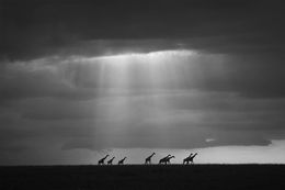 Fotografien, Heaven sent, Bjorn Persson