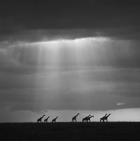 Photography, Heaven sent, Bjorn Persson