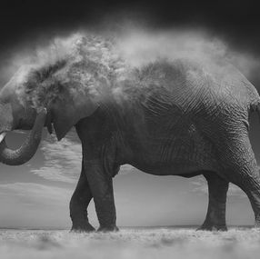 Photography, Dust, Bjorn Persson