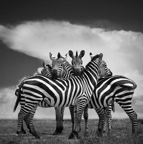 Photography, Close, Bjorn Persson