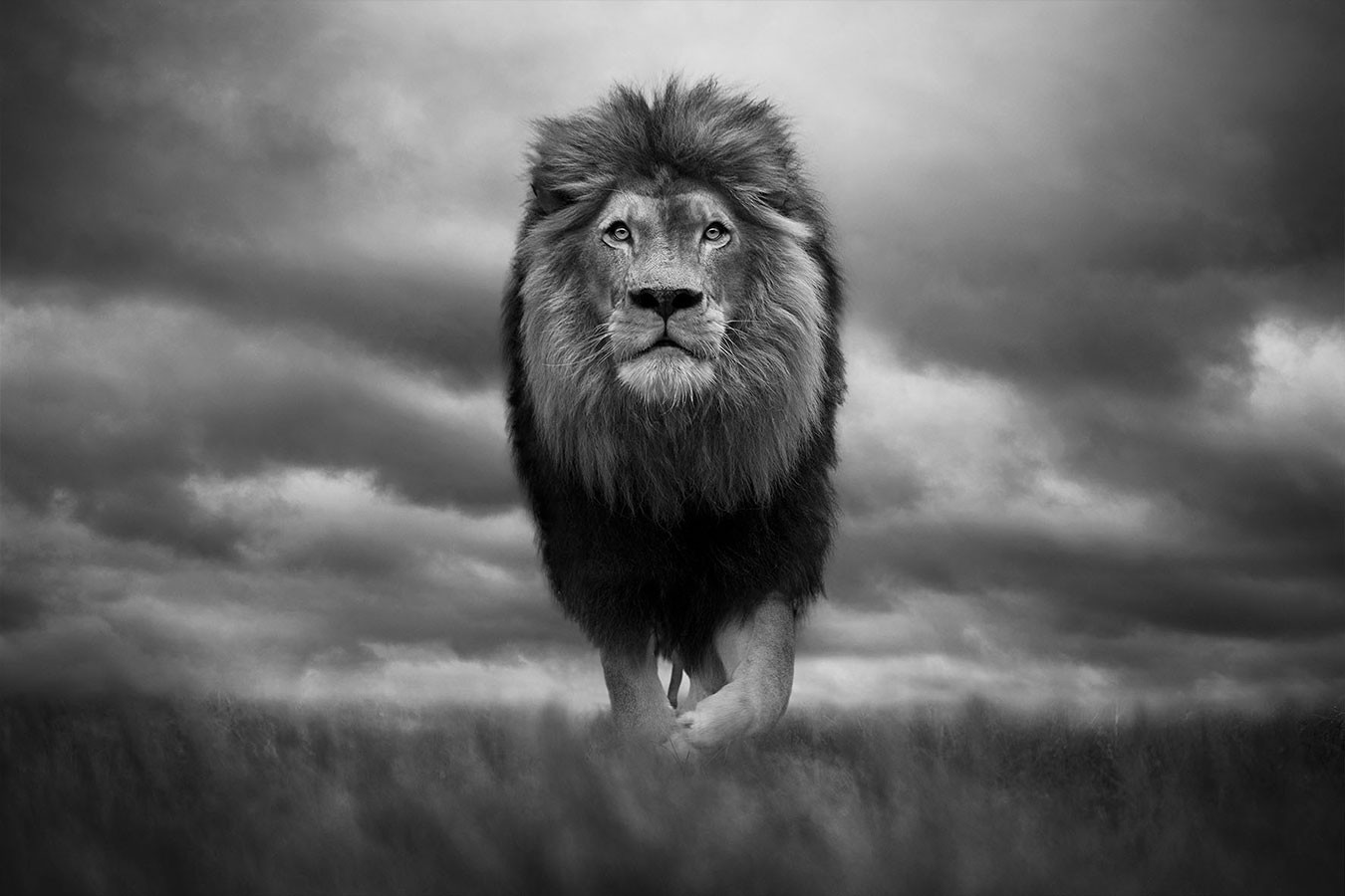 Bjorn Persson, King of Kings Bjorn Persson, King of Kings