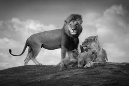 Fotografien, Living Souls, Bjorn Persson