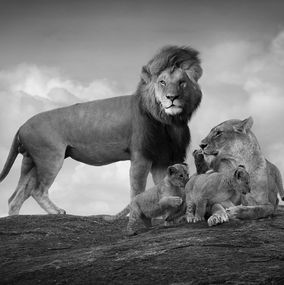 Photography, Living Souls, Bjorn Persson