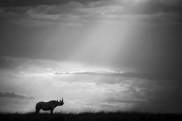 Fotografien, The Chosen, Bjorn Persson