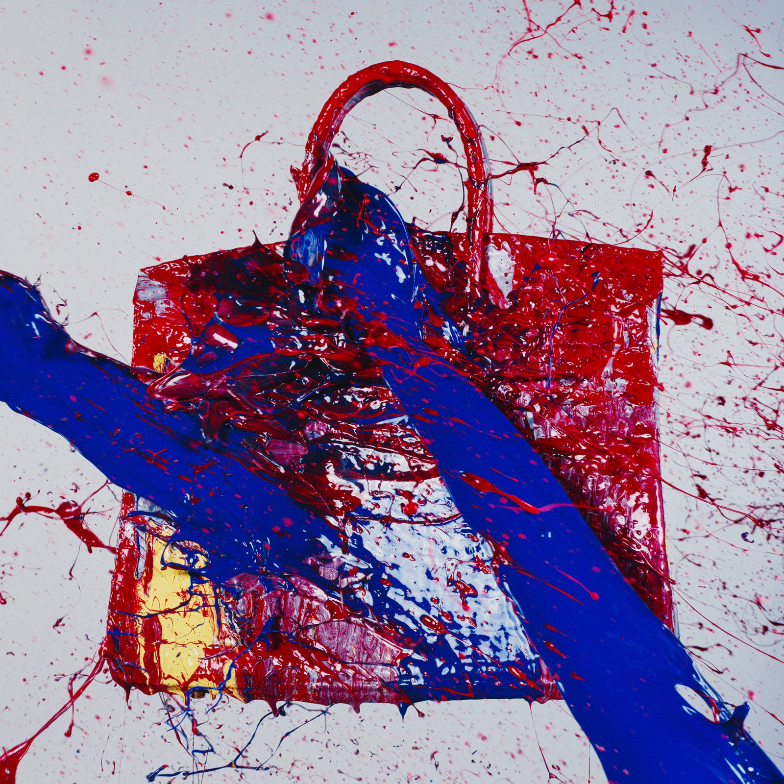 Tyler Shields, Paint Birkin Tyler Shields, Paint Birkin