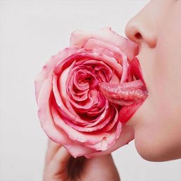 Photography, Rose, Tyler Shields