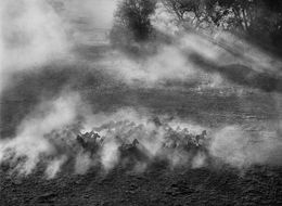 Fotografien, Okavango Delta, Botswana (M), Sebastião Salgado