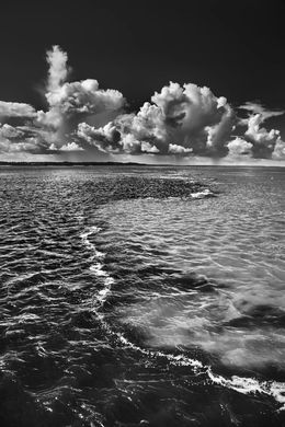 Fotografien, Rio Negro, Etat d’Amazonas (L), Sebastião Salgado
