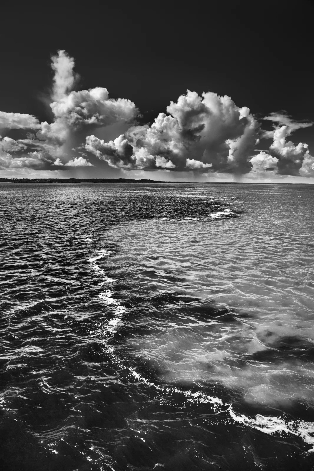 Sebastião Salgado, Rio Negro, Etat d’Amazonas (L) Sebastião Salgado, Rio Negro, Etat d’Amazonas (L)