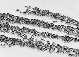 Fotografien, Yamal Peninsula, Siberia, Russia (L), Sebastião Salgado