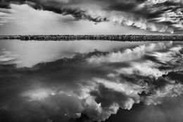 Photographie, Rio Negro, Etat d’Amazonas (M), Sebastião Salgado
