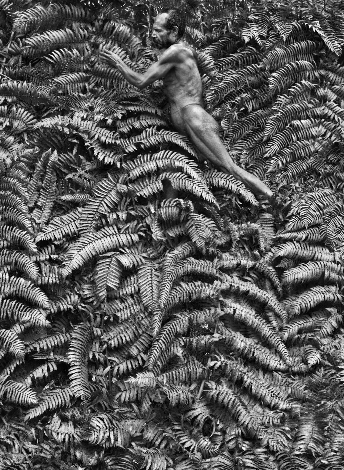 Sebastião Salgado, West Papua, Indonesia (L) Sebastião Salgado, West Papua, Indonesia (L)