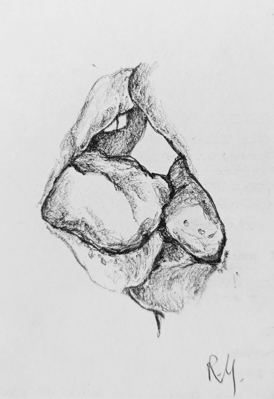 Rossella Mercedes, Studio di un bacio Rossella Mercedes, Studio di un bacio