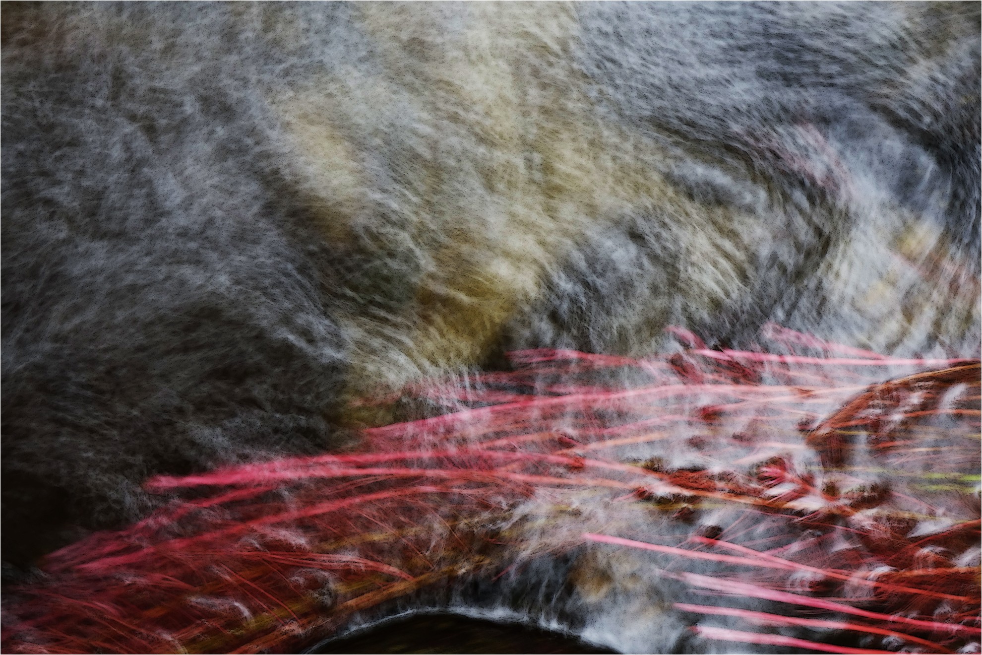 Carles Prat-Placis, Etern_flow_II Carles Prat-Placis, Etern_flow_II