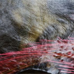 Photography, Etern_flow_II, Carles Prat-Placis