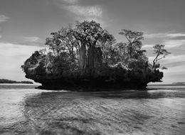 Fotografien, Moramba bay, Madagascar (L), Sebastião Salgado