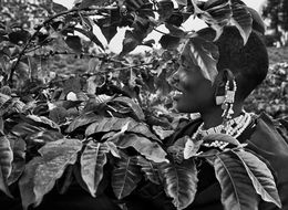 Fotografien, Tanzania (M), Sebastião Salgado