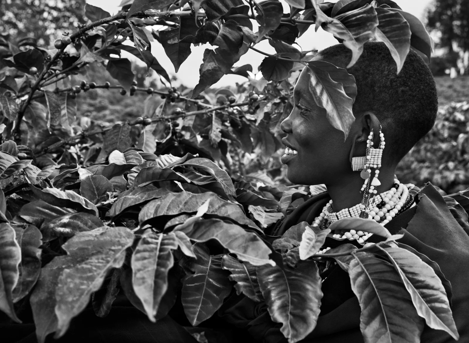 Sebastião Salgado, Tanzania (M) Sebastião Salgado, Tanzania (M)