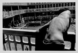 Photography, Piscine Molitor 85, Gil Rigoulet